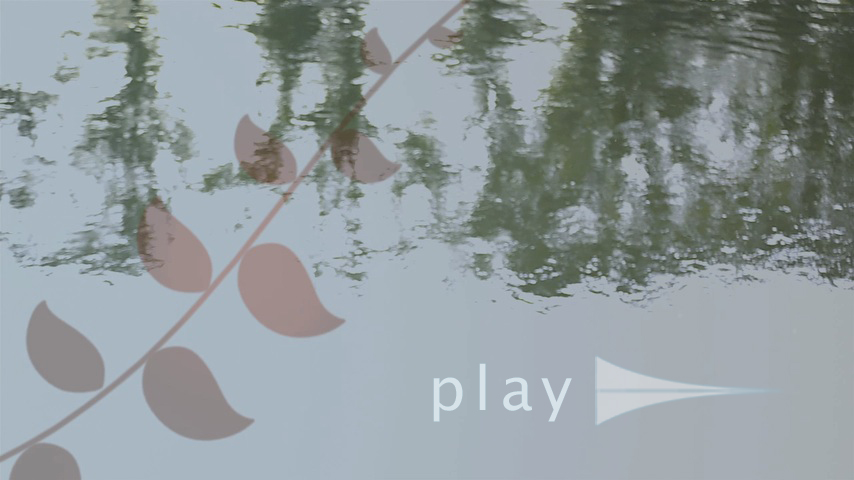 Biber an der Mulde 2012 Biber an der Mulde 2012